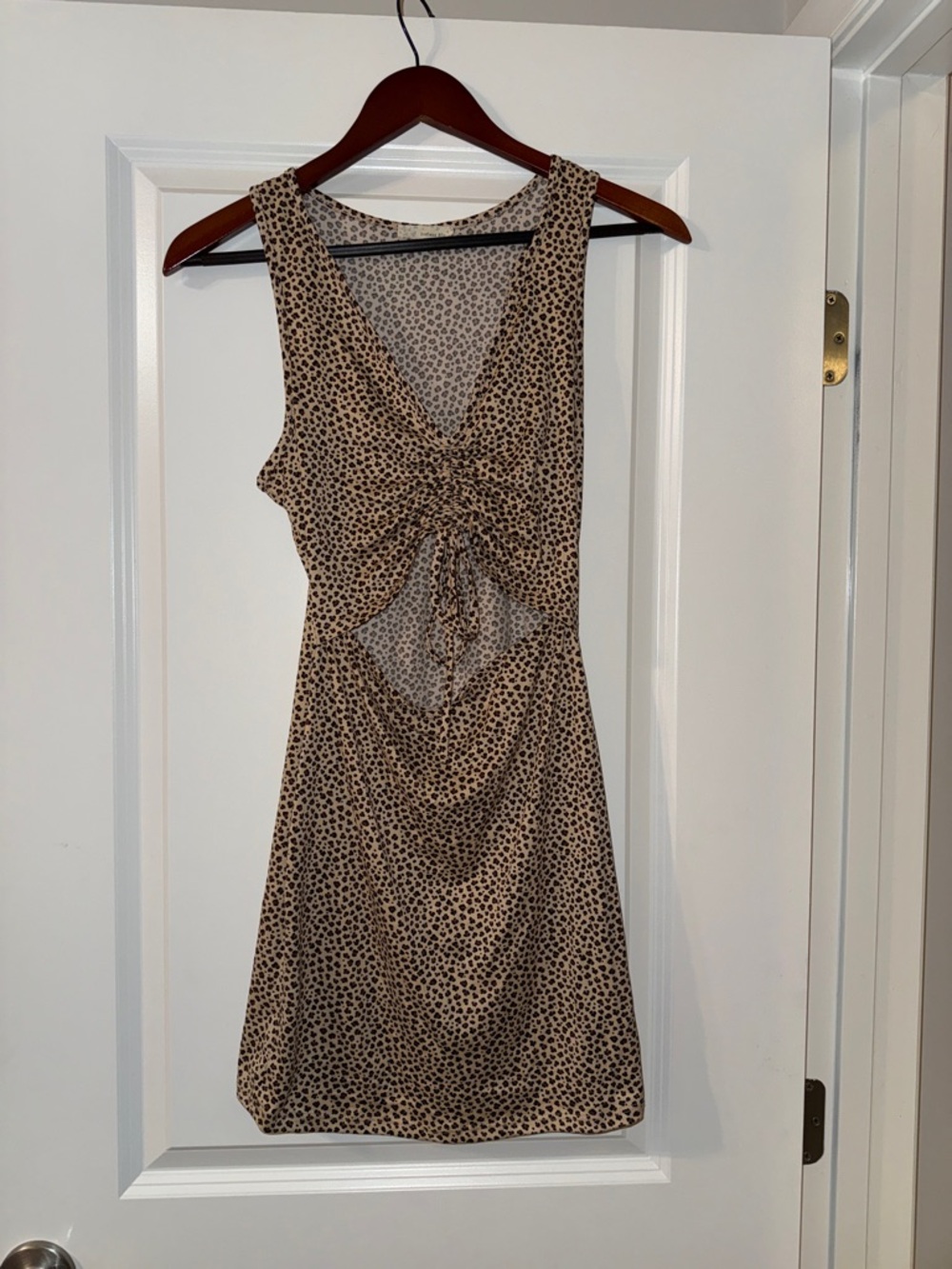 Sleeveless Beige Leopard-Print Mini Dress with Front Tie Detail